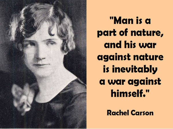 Steady-state economics