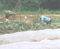 gardening 3