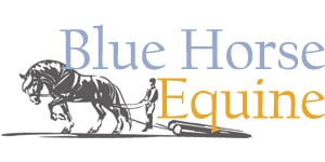 Blue Horse Equine logo