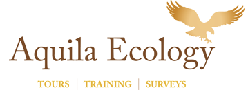 Aquila Ecology Scotland logo