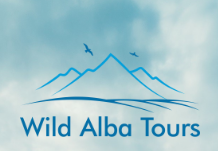 Wild Alba Tours logo