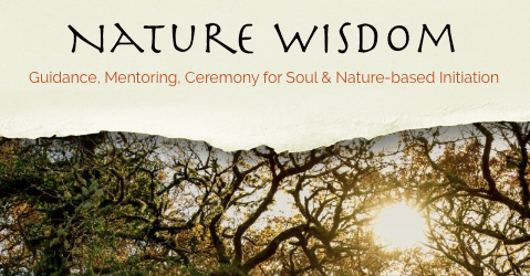 Nature Wisdom logo