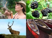 Bushcraft, wild food & nature