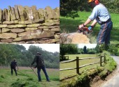 Land & land management