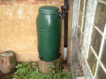 The simplest way to collect rainwater is in a water butt, with a diverter in the downpipe