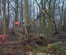 Lightweight, 8-wheel drive low-impact forwarder