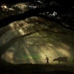 why access to land matters