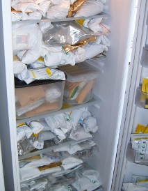 small seeds shouldn't take up too much room in your fridge, unless you're doing it commercially of course, in which case you'll have several fridges looking like this