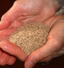 a handful of dried tomato seeds