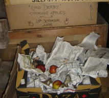 An example of preserving food in the form of individually wrapped apples boxed in a cool shed