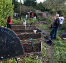 community gardens run by members of Transition Kinsale in Ireland