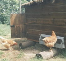 As well as commercial activities, most smallholdings will have