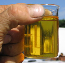 A sample of finished home-brew biodiesel