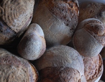 Sourdough is a popular form of baking Fresh sourdough loaves
