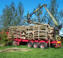 Delivery of cordwood;
