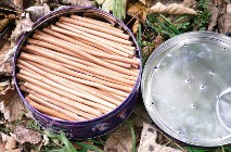 a biscuit tin of twigs for making artists' charcoal: before and after