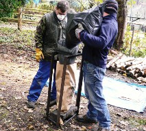 bagging the charcoal