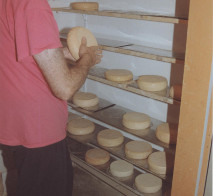 Turning farmhouse hard cheeses as they mature on the rind
