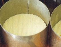 Drained soft cheese in moulds