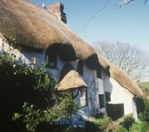 Traditional thatched cob cottages in the South-West of England