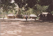 Mvuti Ujamaa village, reflecting a system of intentional communities which was once common in Tanzania Mvuti Ujamaa village, Tanzania. 10