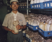 Small scale agriculture is often innovative in intentional communities as with the mushrooms grown in rice crop waste at Yamagishi Association, Japan Mushrooms in the waste from the rice crop - Yamagishi Association, Japan.