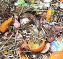 Fresh organic matter recently added to the top of a compost bin