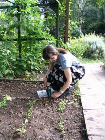 Gardening - save money
