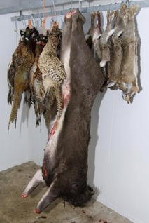 Hanging is an important stage of preparing wild meat - whether deer, pheasant or rabbit as pictured here Pheasants, rabbits and a sika deer hanging in a larder