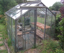 greenhouses are a common sight in UK gardens; this one is typical - aluminium frame, glass, sliding door, roof ventilation, staging