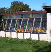 self-built, lean-to greenhouse with lime-rendered, straw-bale base