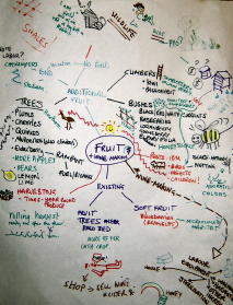 A stage in the development of a design, during a permaculture design course, where students are looking at the needs and yields of different parts of the system