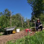 Imogen Lacey WWOOFing in Shropshire : the upside of lockdown