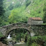Two planks and a bridge to the new economy