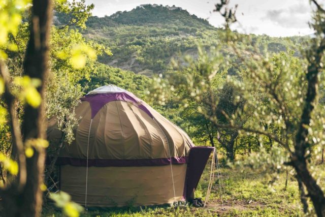 A yurt campsite