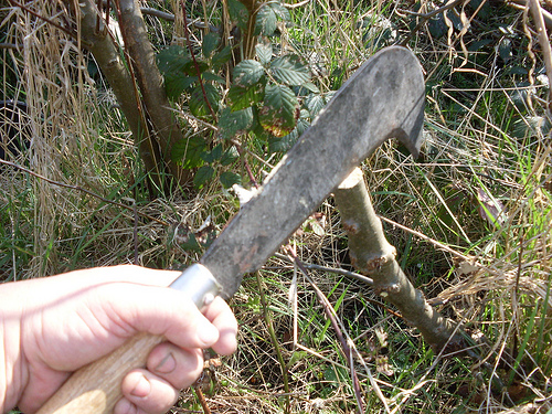 Billhook
