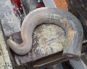 A worked horn drawing close to the final stages