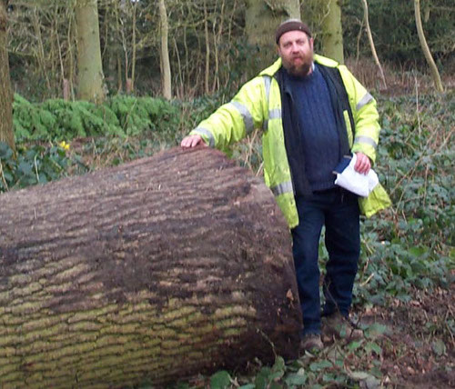 Big-Oak-Log