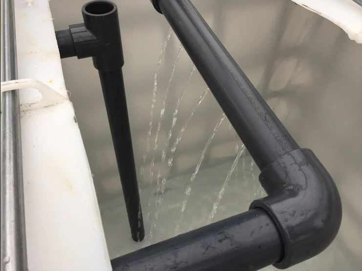 Plumbing inside the fish tank of the aquaponics greenhouse