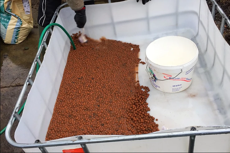 Leca clay balls as part of the aquaponics greenhouse set-up