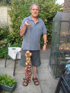 Onions are a great starter for those new to vegetable growing