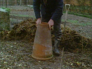 Rhubarb-Forcing-Pot-and-Manure