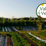 2021 internship at Vallis Veg