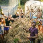 10 top tips for WWOOFing