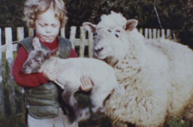 Helping with lambing can start at a young age!