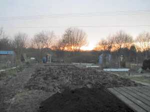 allotment-february