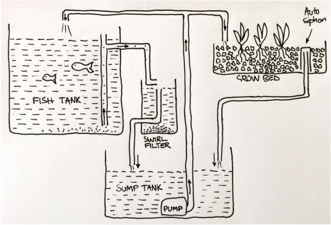 Pete's aquaponics greenhouse design