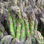 Asparagus makes an appearance in our fruit and vegetable growing guide for May