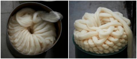 Combed tops ready for bi-coiling and spinning