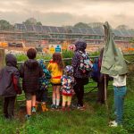 Bridport cohousing